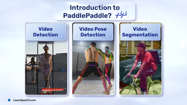 PaddlePaddle YOLO Workflow