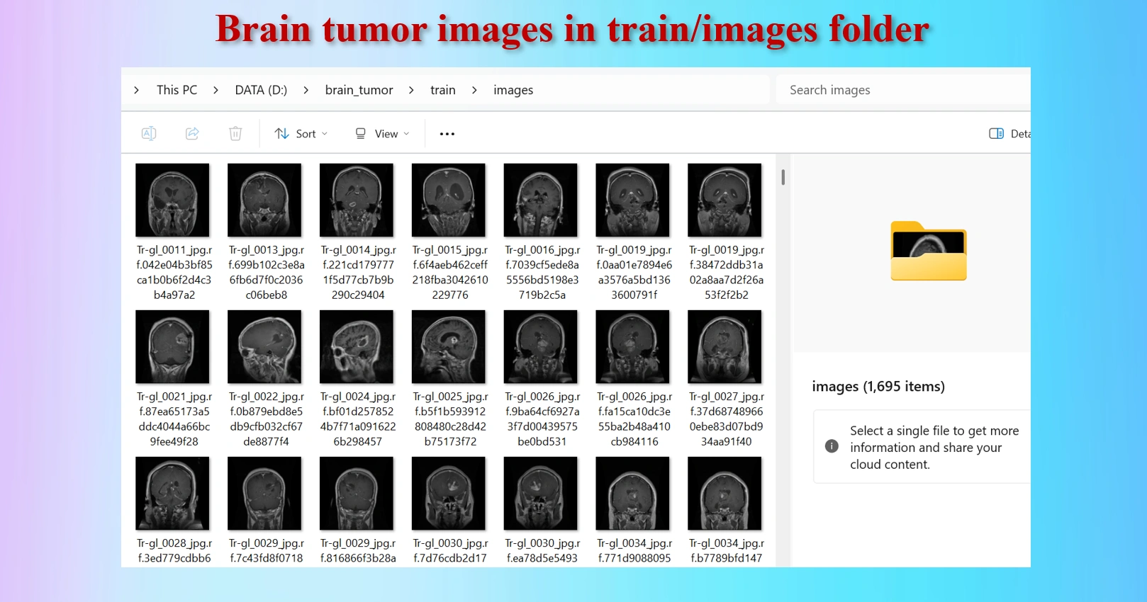 Loadong dataset in Labelimg