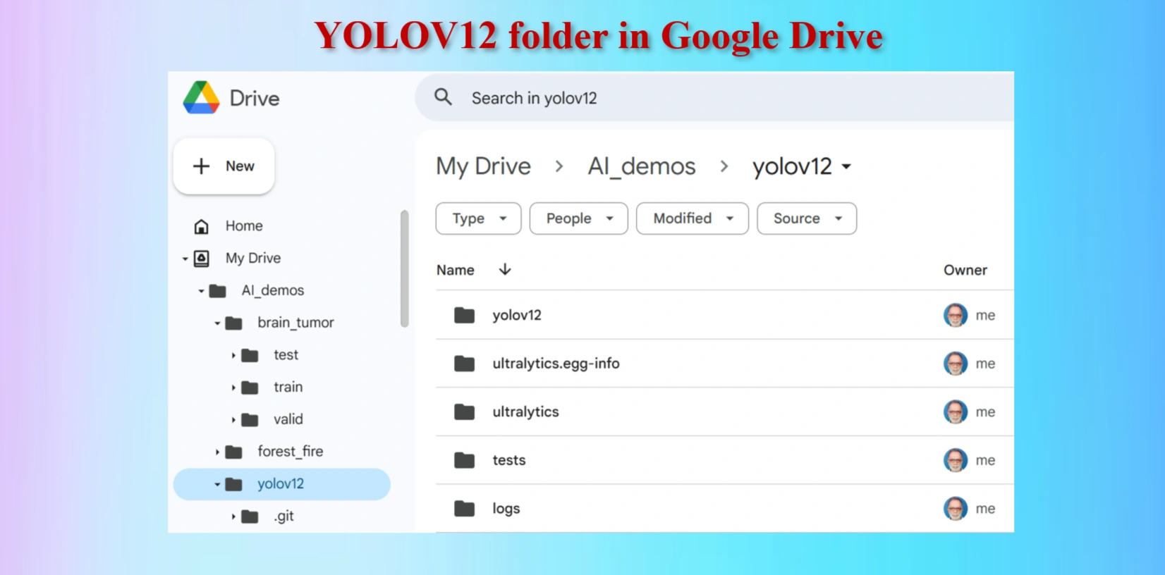 yolov12 folder 