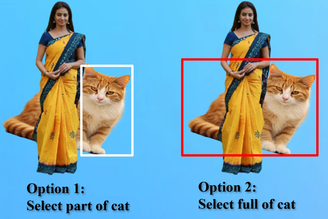 Dataset diversity examples