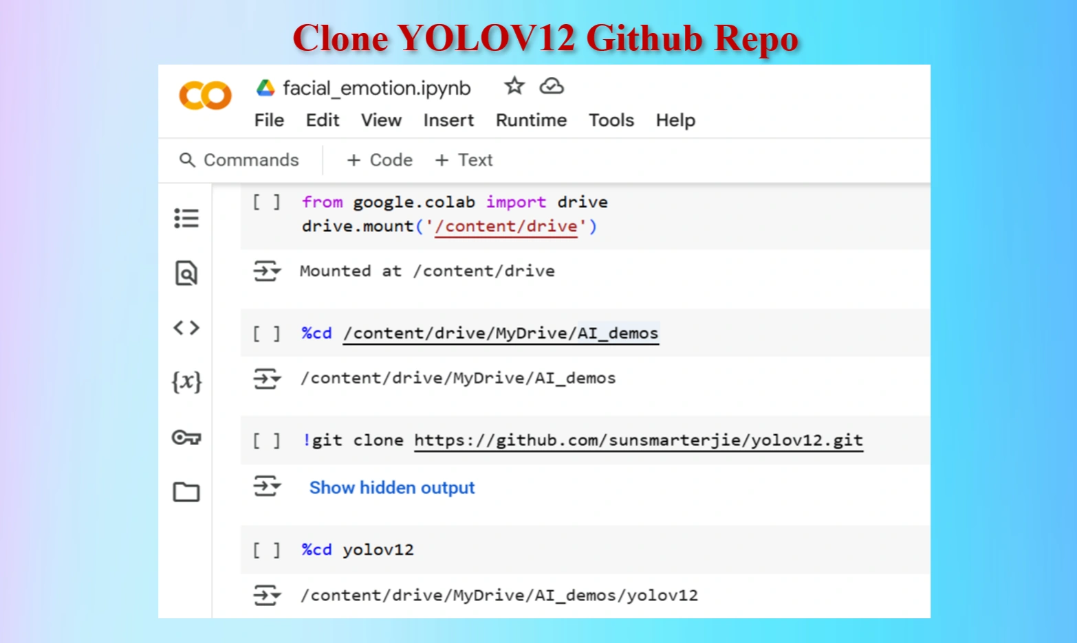 yolov12 folder 