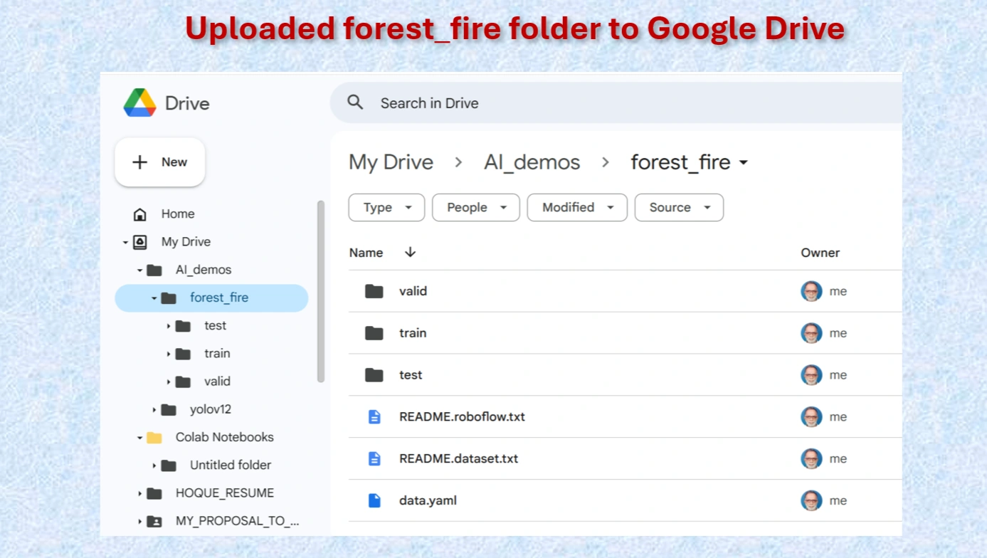 Uploaded forest folder
